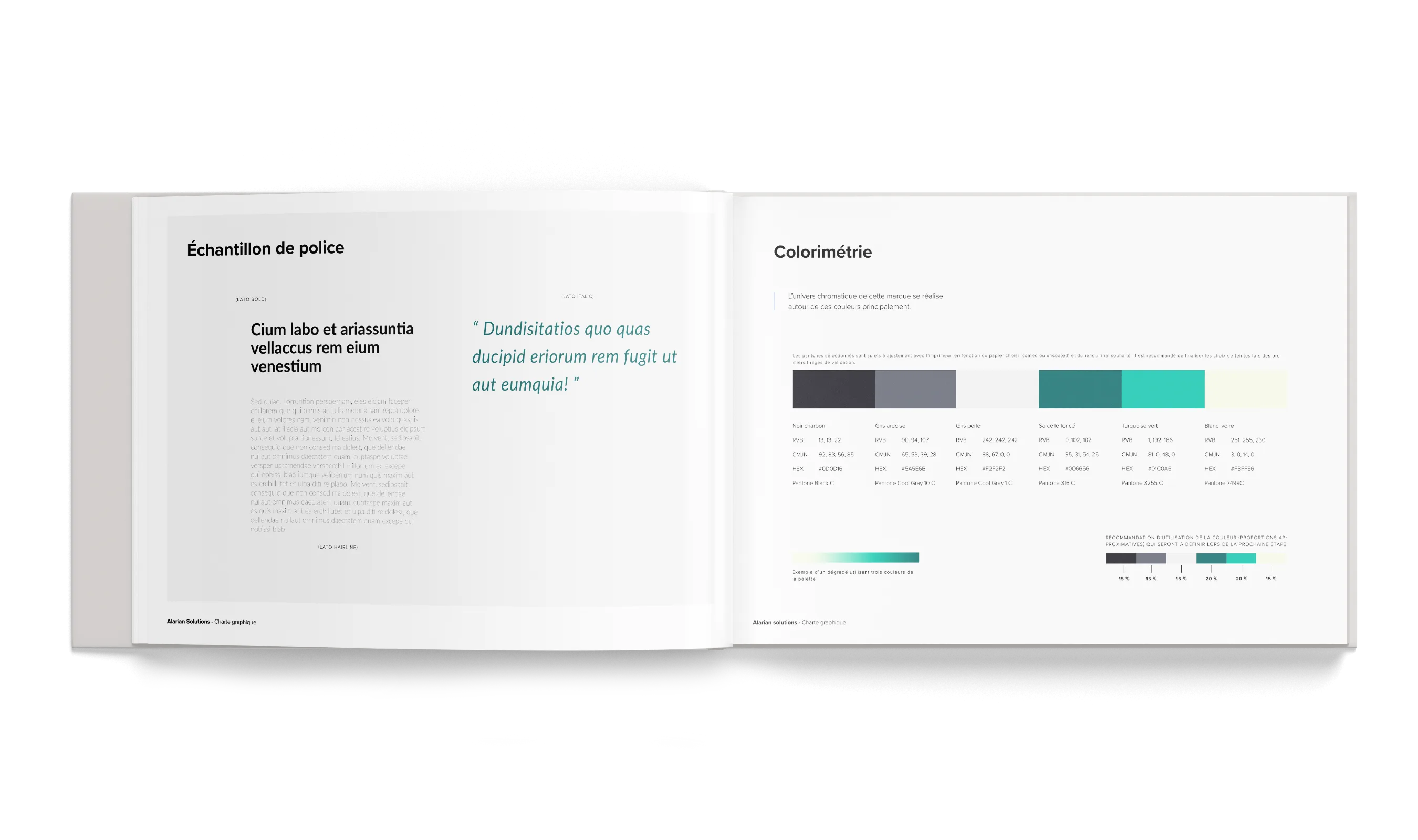 Guide de charte graphique Alarian Solutions
